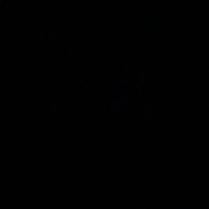 Meet your Posher, Daffy